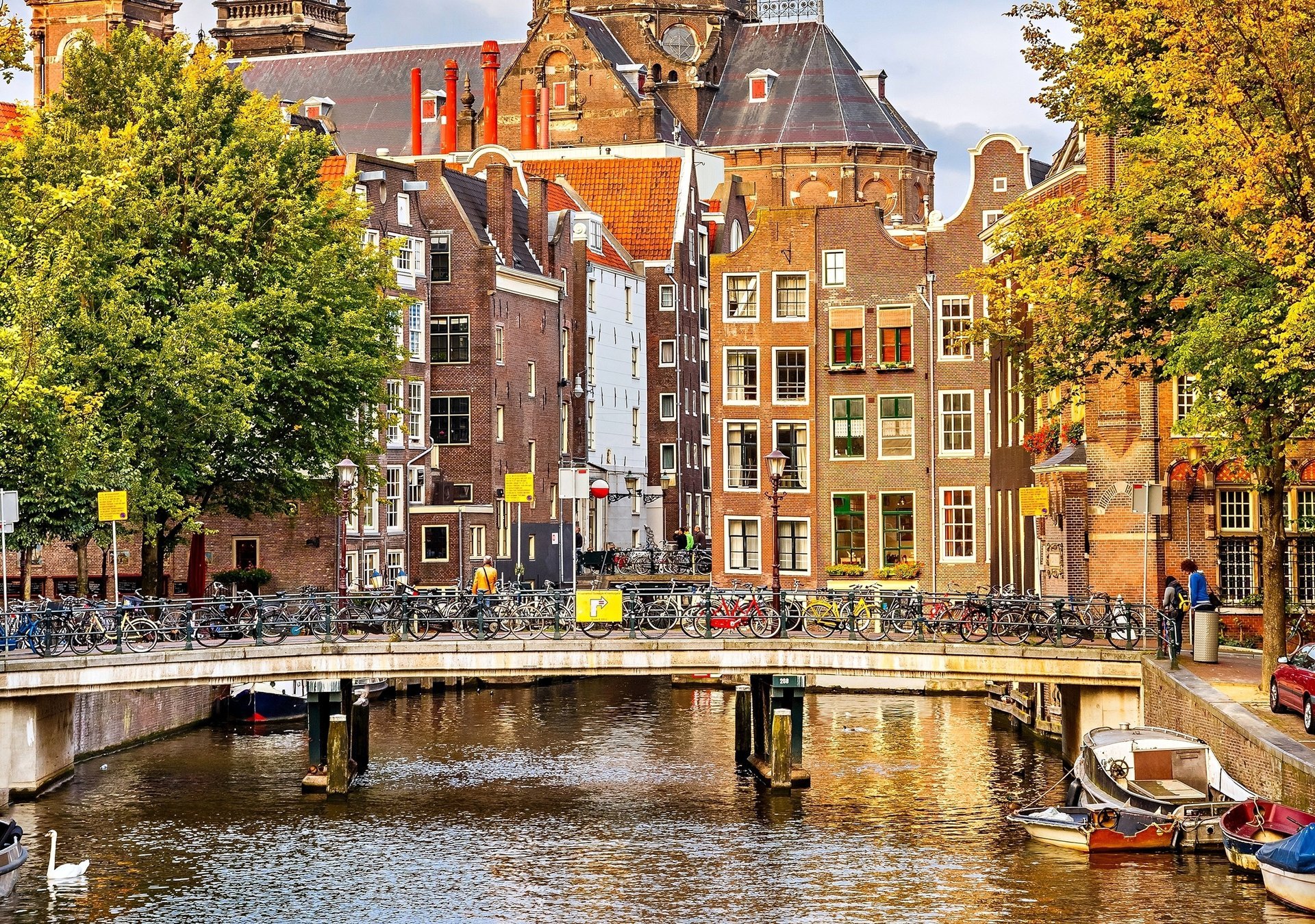 amsterdam herbst nederland amsterdam bäume niederlande