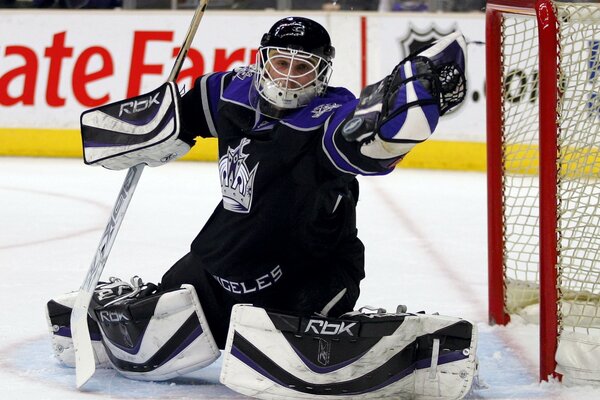 Hockey goalkeeper on the ice at the gate