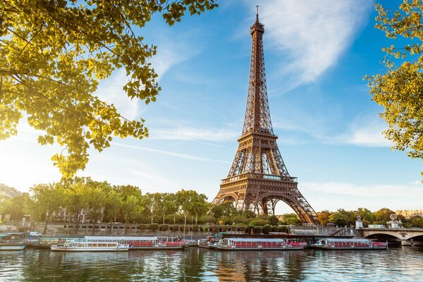 Paris. reflections of the tower and trees in the water