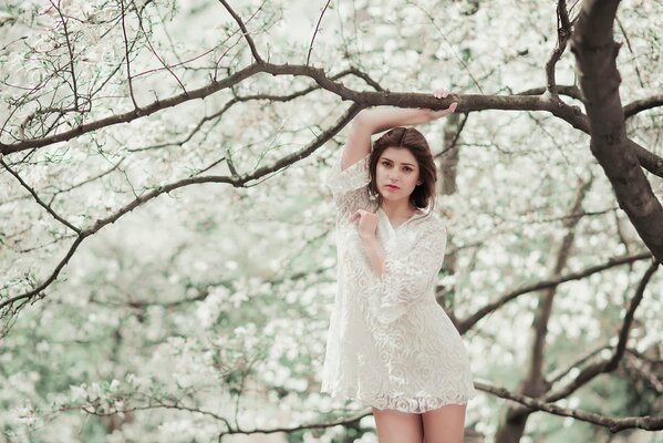 Ragazza in abito bianco leggero in un albero in fiore