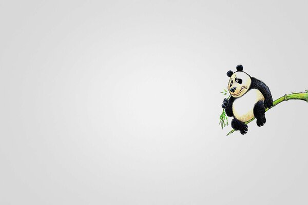 Panda on bamboo eats a leaf