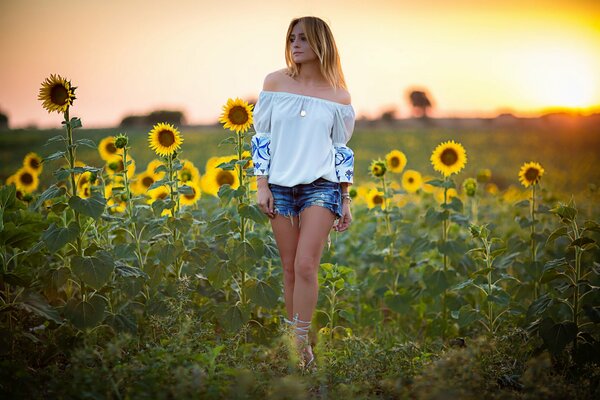 A girl in a sunflower field at sunset