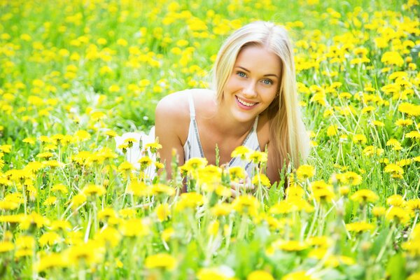 Blonde liegt in Löwenzahn