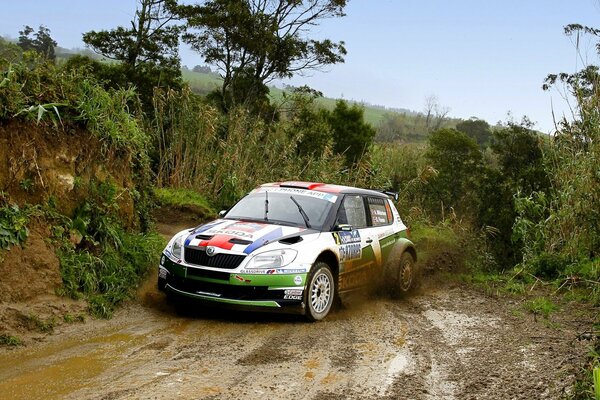 Skoda nel rally auto sportiva