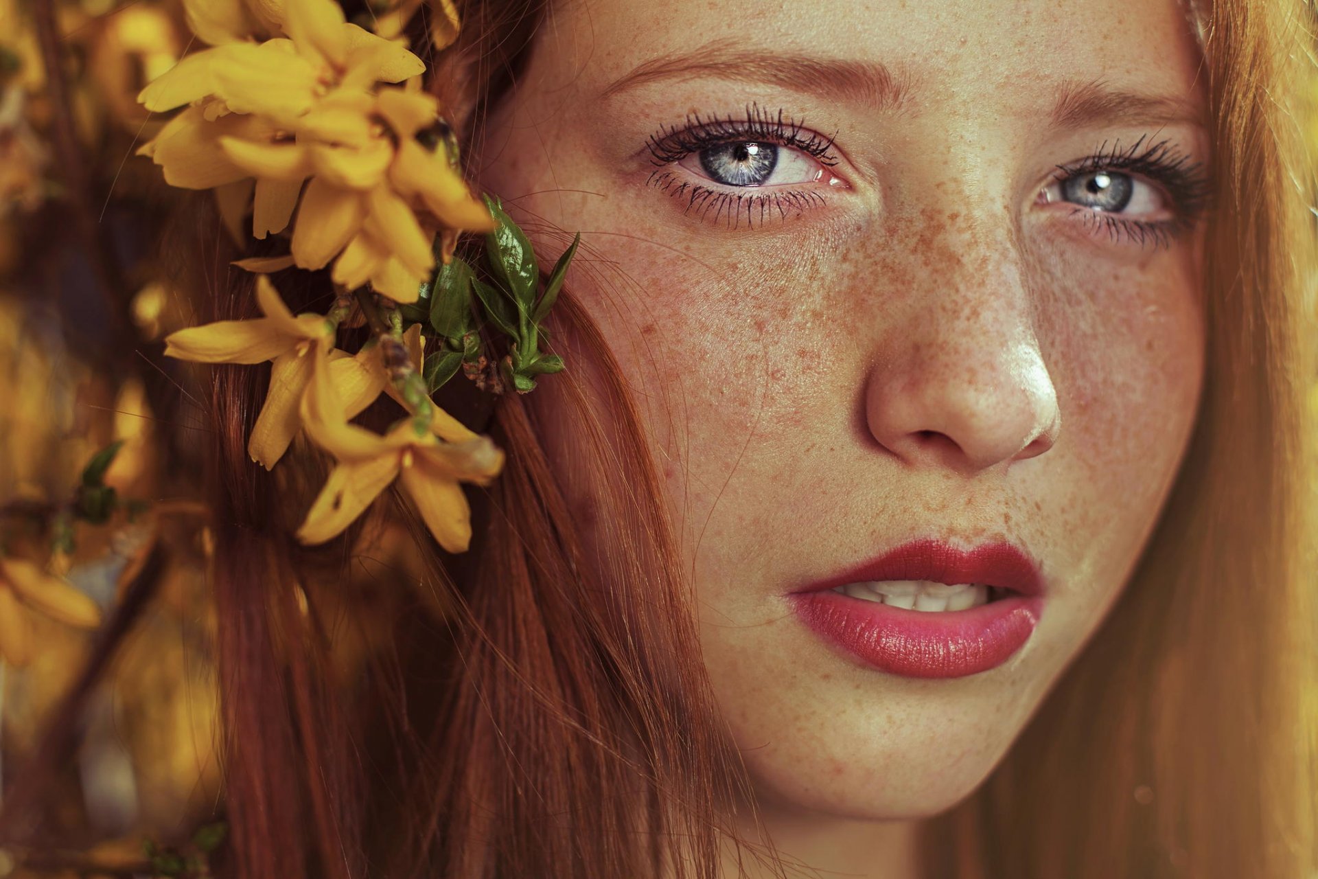 freckles sponge view