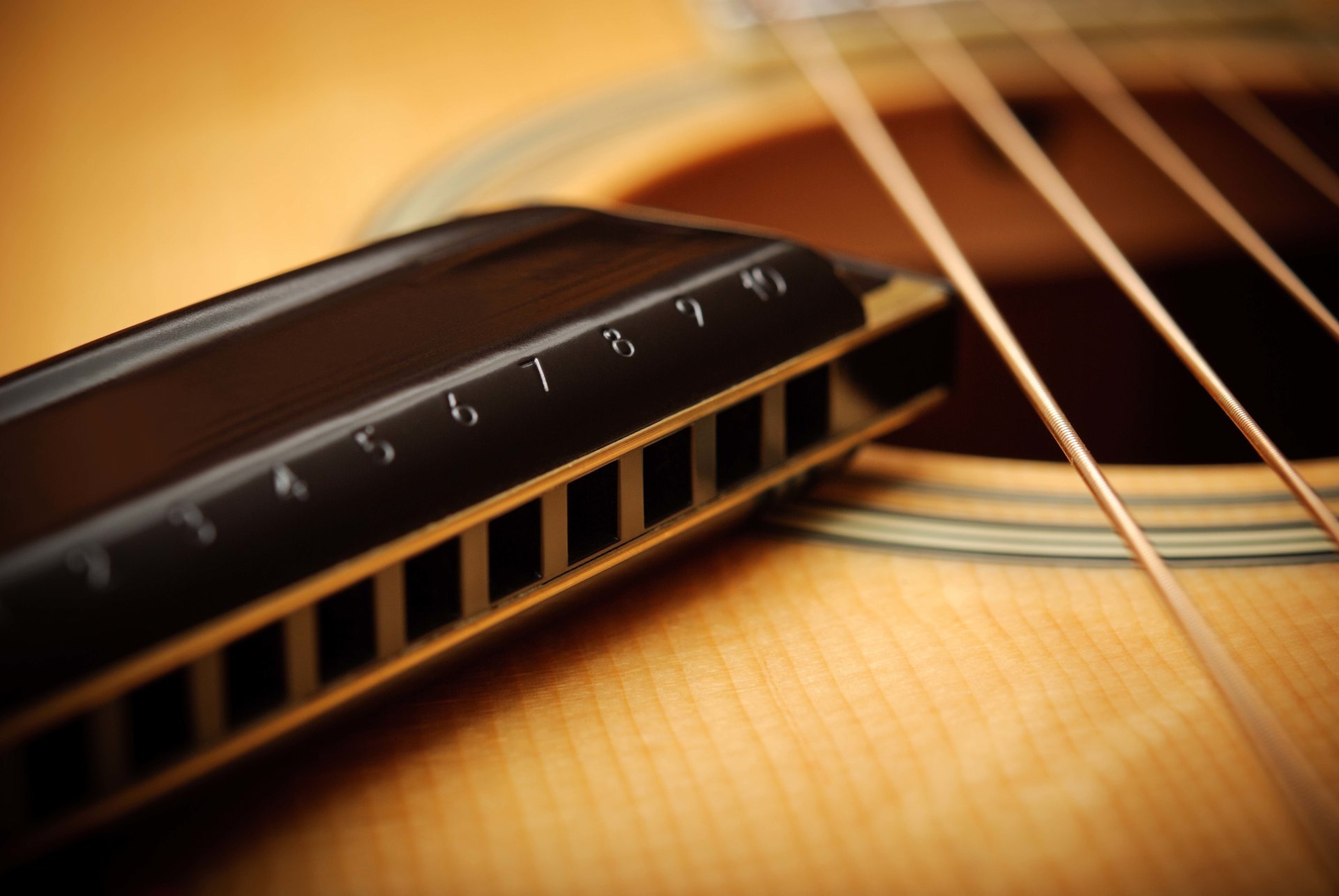 guitar harmonica acoustics strings macro