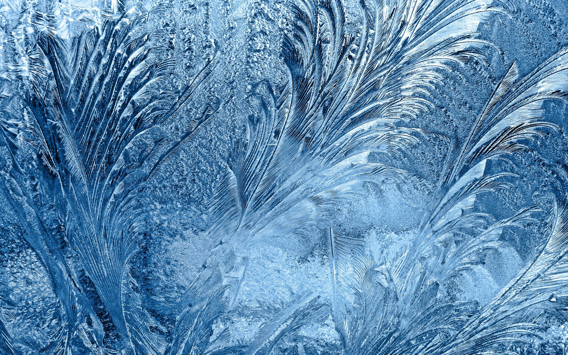 frost winter pattern glass ice