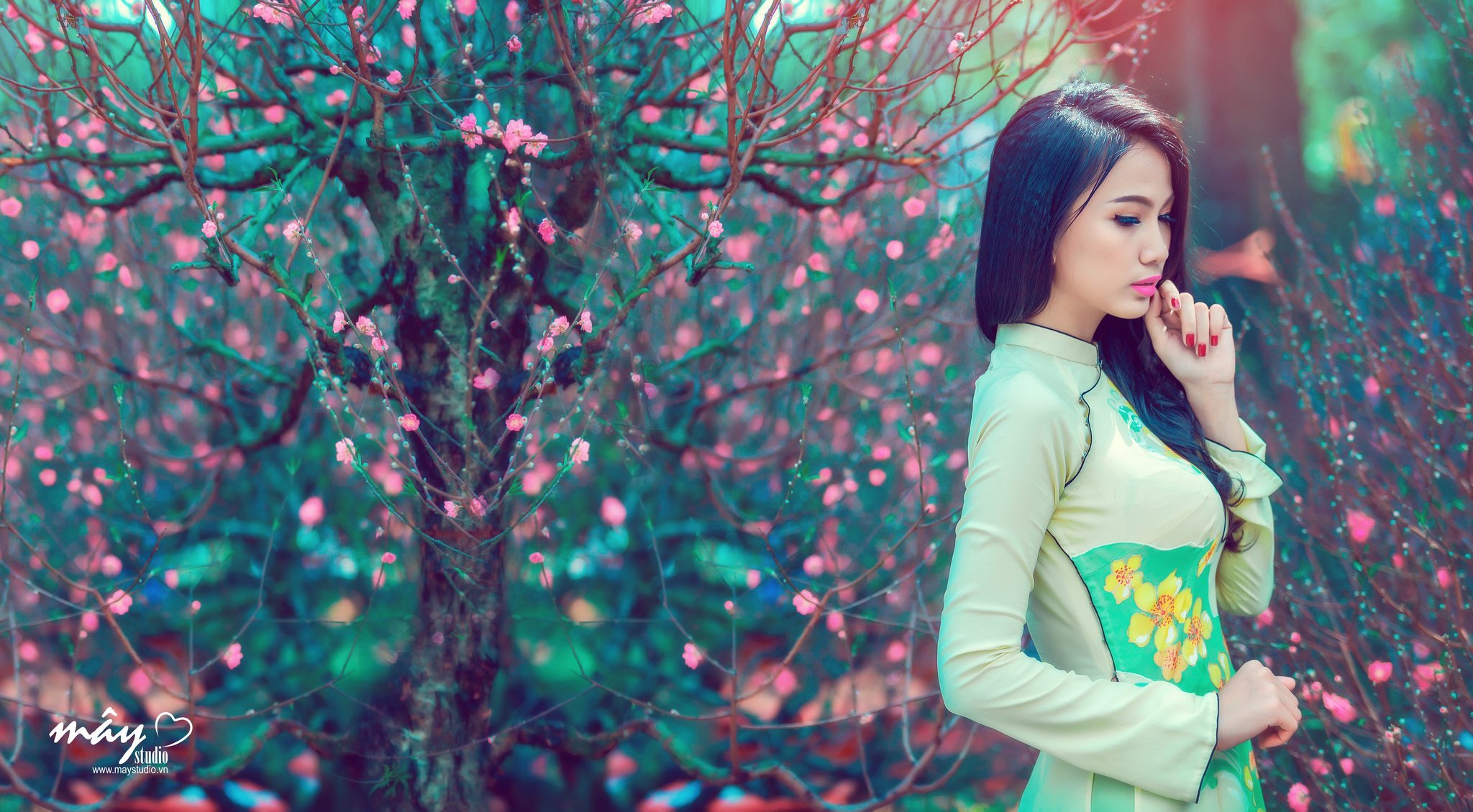 vietnamesisches mädchen asiatische frau baum.frühling blumen