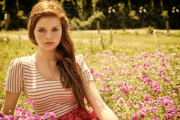 Chica de pelo largo en un clima soleado se sienta en un campo de flores