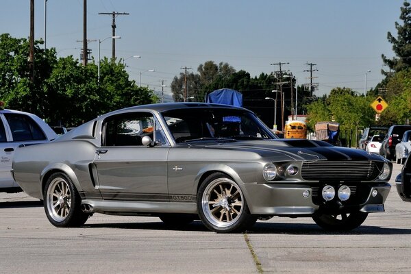 Mustang gris en la carretera