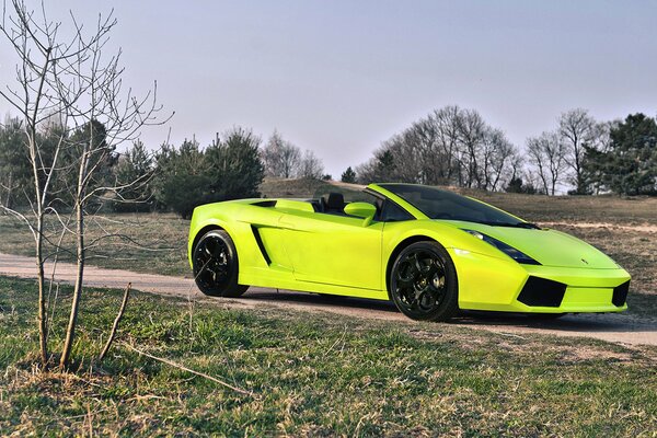 Неоново салатовый lamborghini gallado spyder на проселочной дороге