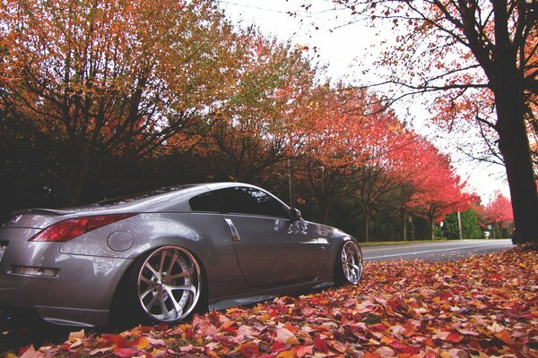 Grey Nissan 350z in the middle of an autumn road