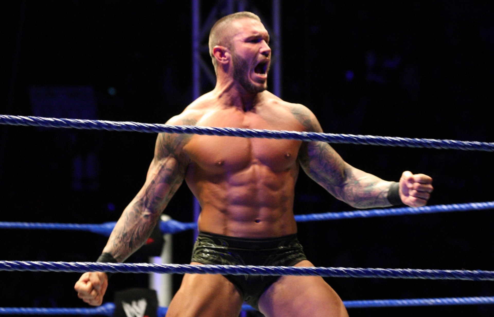 ufc lutteur wwe randy orton