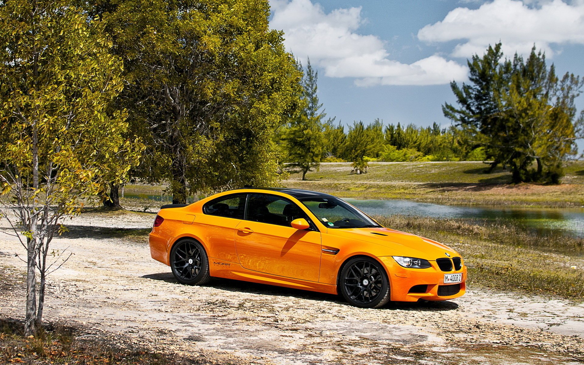 bmw m3 bmw coupé árboles naturaleza