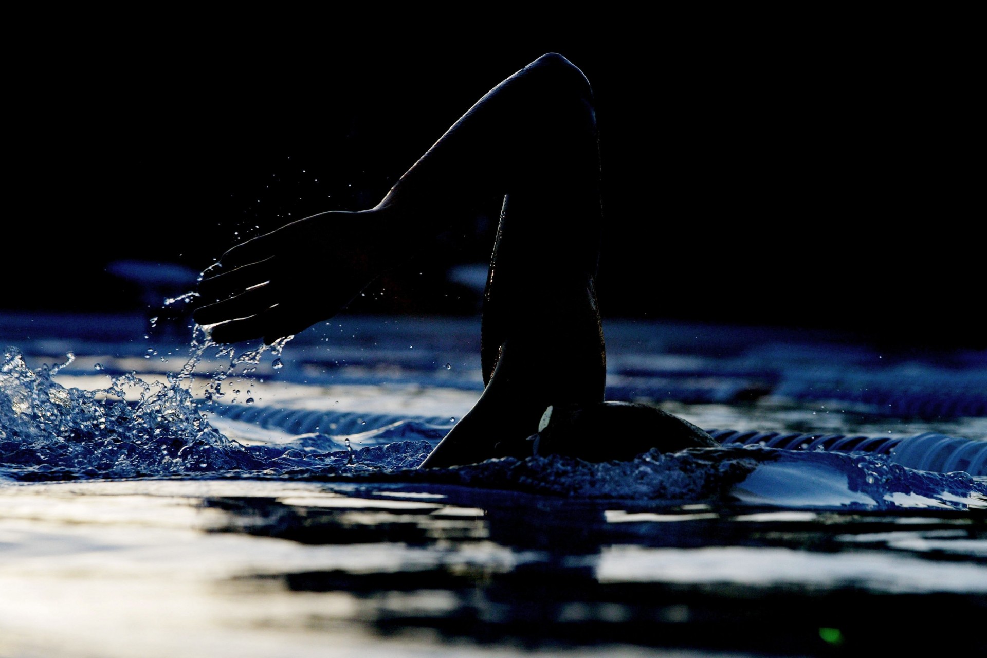 hand swimmer pool water