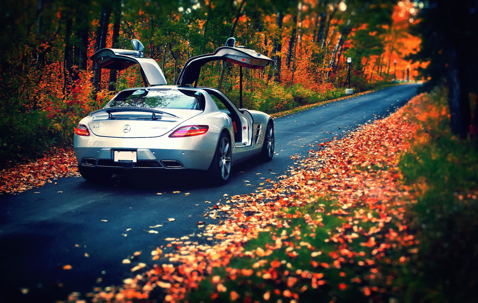 mercedes-benz feuilles arrière silvery amg automne 63 sl