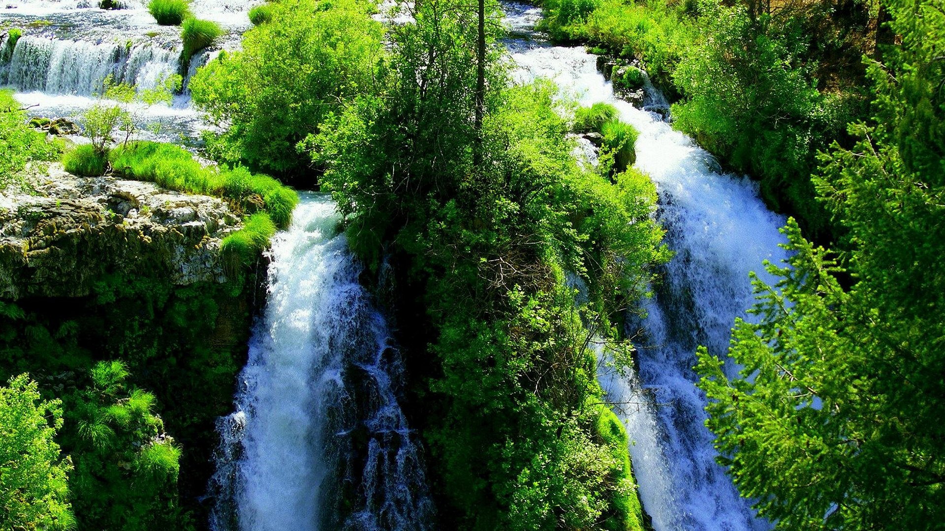 nature waterfall forest