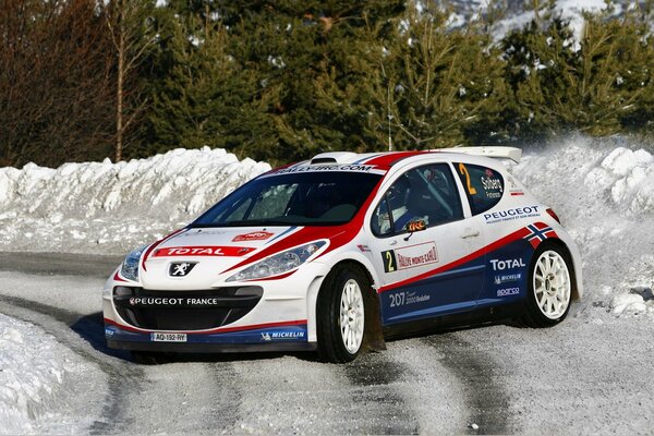 Coche de Peugeot para competir con