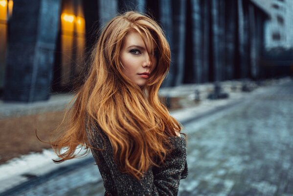 Rousse bestie dans la rue