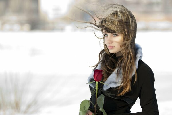 Sur le fond d un matin d hiver fille avec une rose