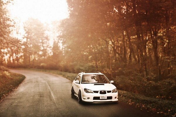 A white car is driving along a road in the woods