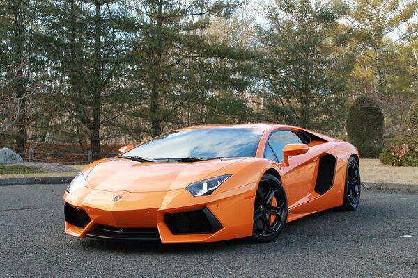 Lamborghini naranja espera a su dueño