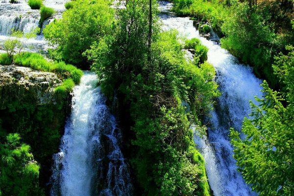 Belle petite cascade dans la forêt