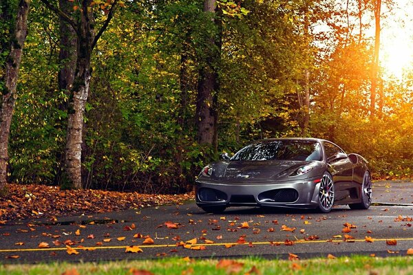 Ferrari on the background of trees