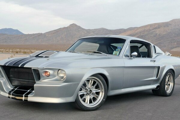 Silver Ford Mustang super snake de lado en el desierto