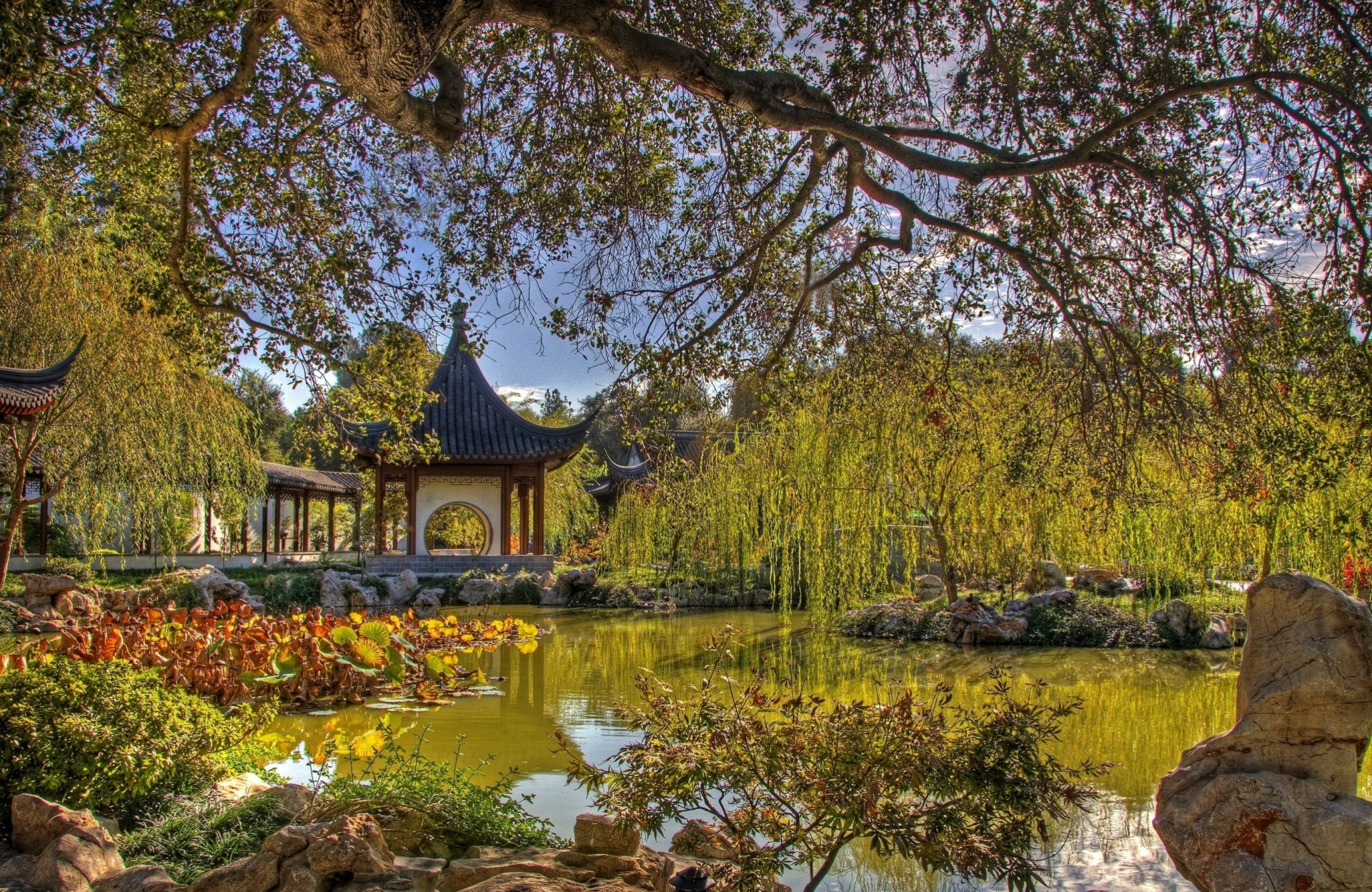 arbre gazebo étang chine flore branche