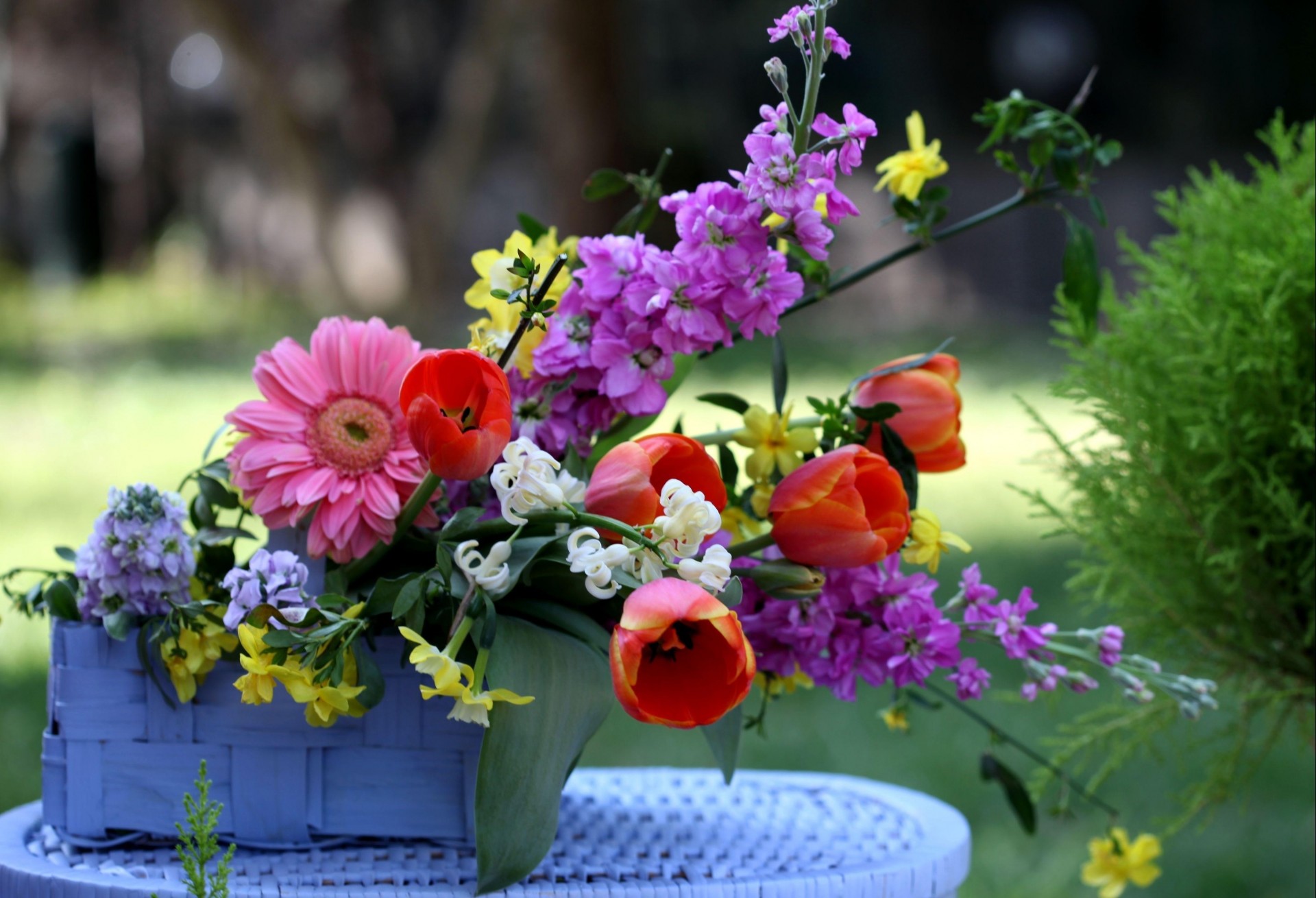 gerberas shopping composition tulipes