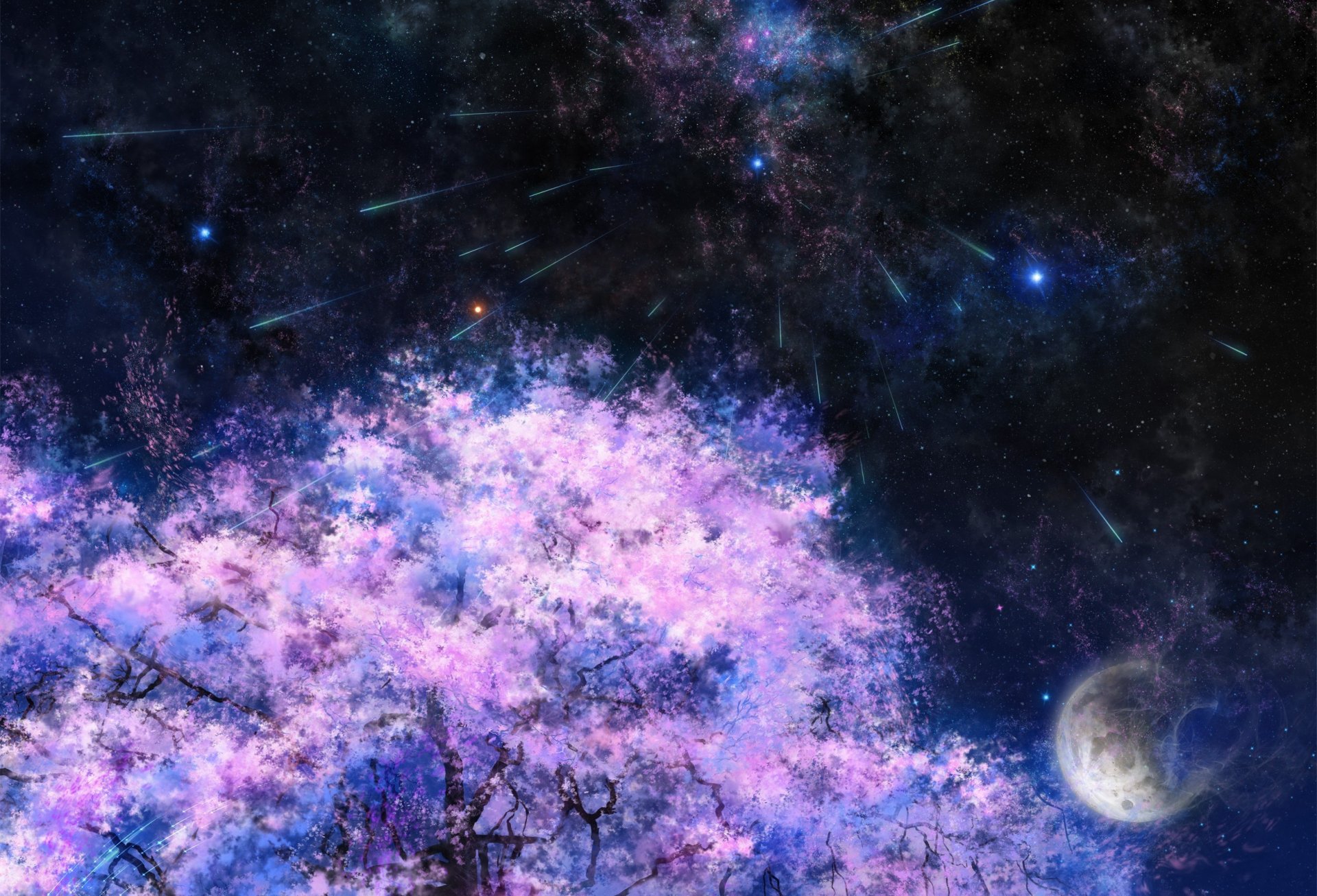 arte sakura albero luna stelle notte spazio