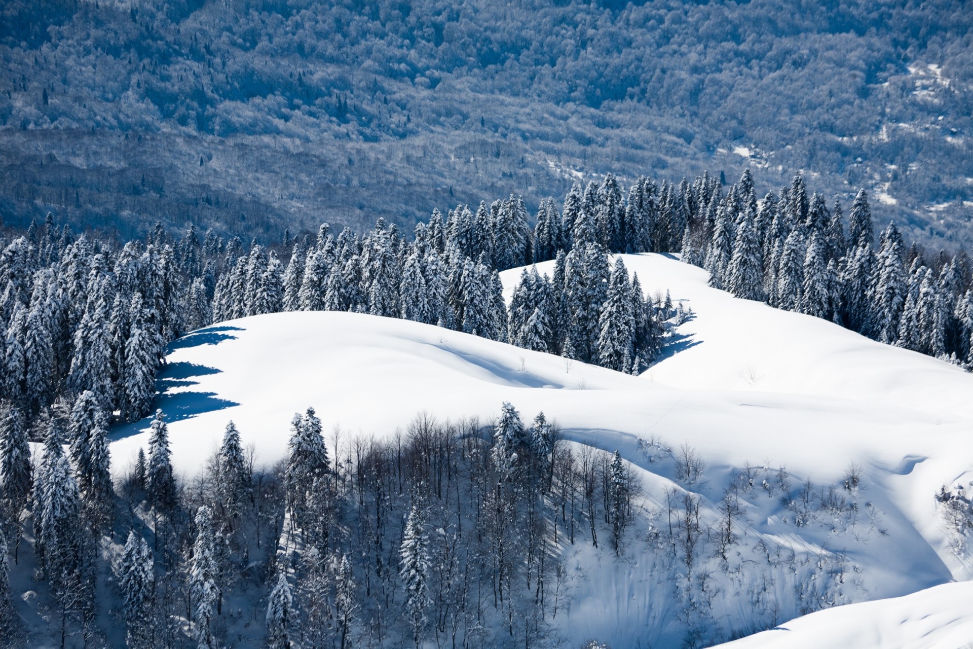 rosja krajobraz natura las góra soczi krasnaya polana