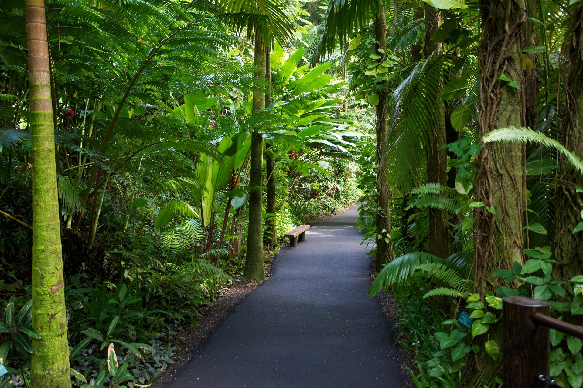 hawaii giardino natura