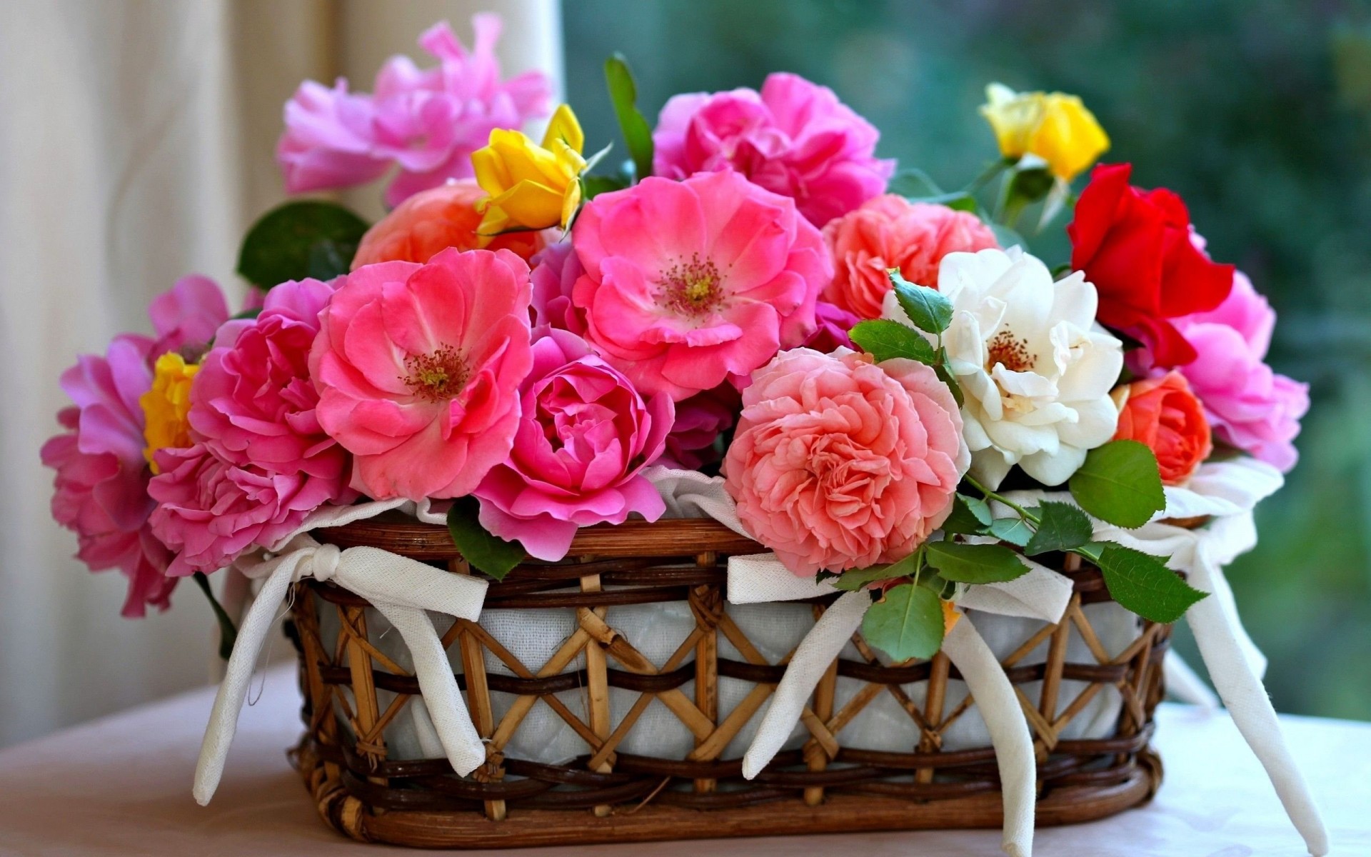 roses flower beautiful basket