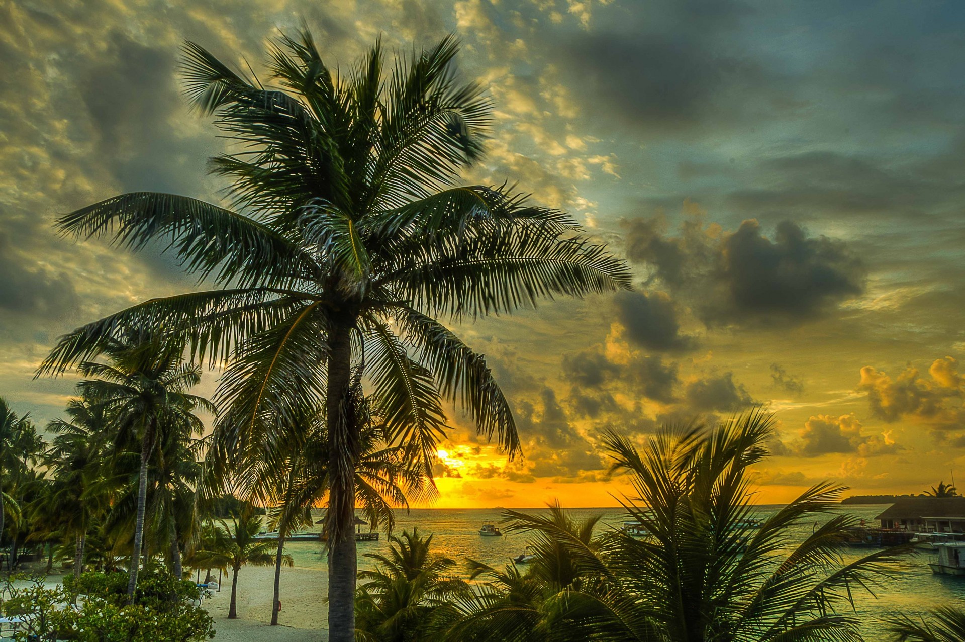 paradis mer palmiers coucher de soleil