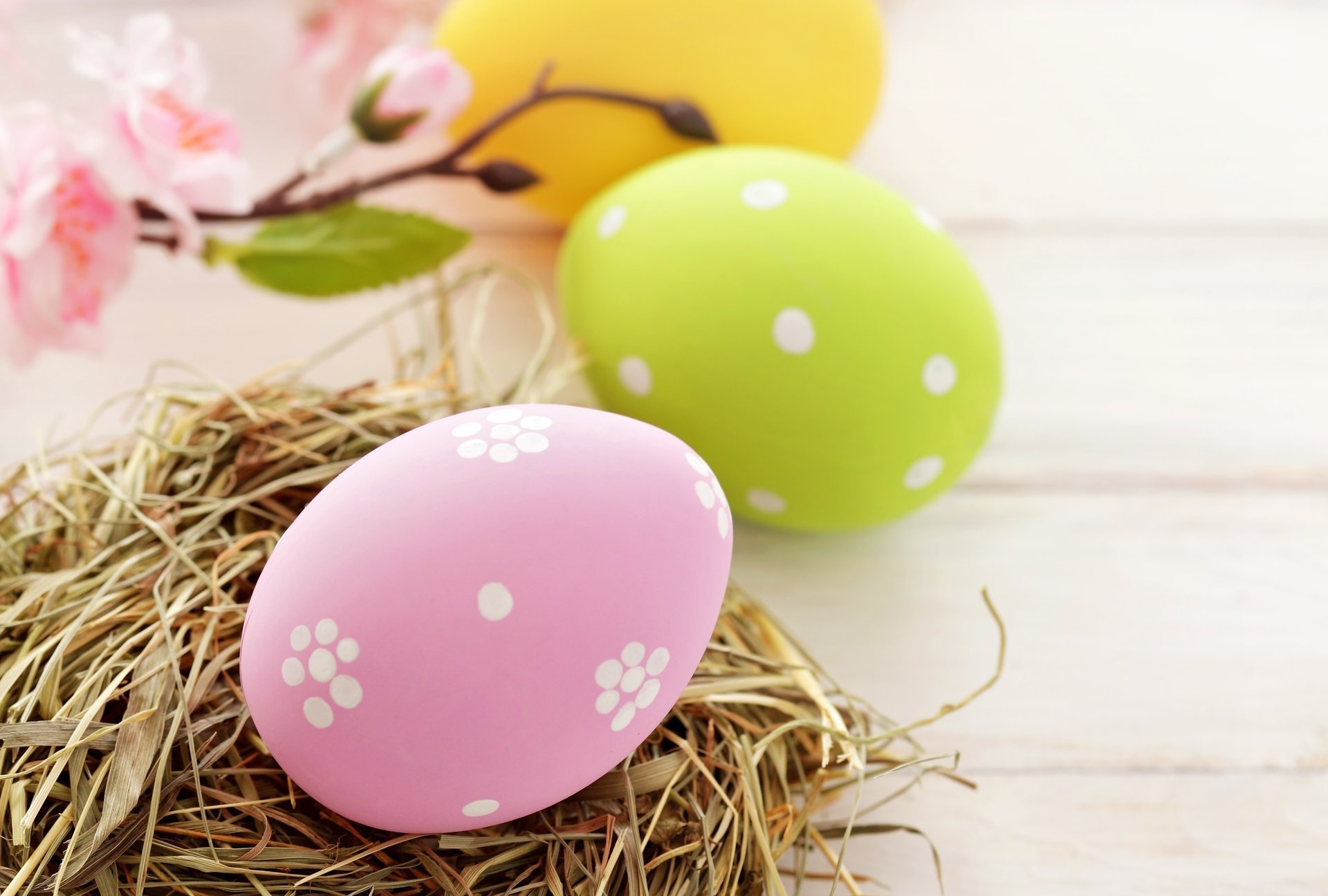 easter nest yellow easter pink eggs easter