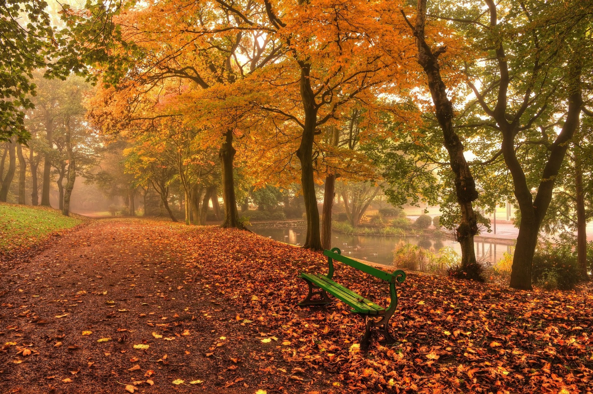 liść jesień krajobraz kawa natura