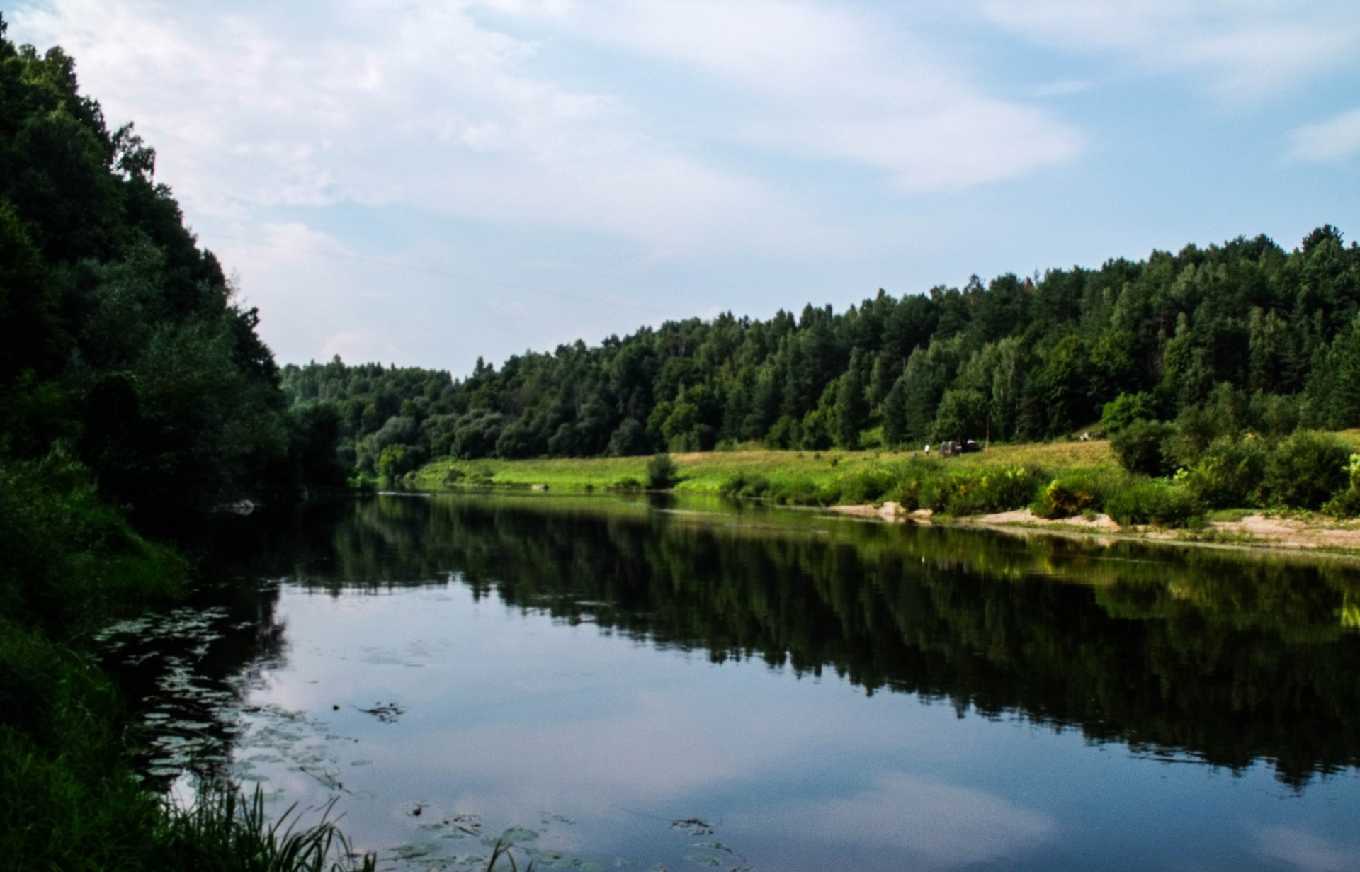 wood mountain beautiful river nature