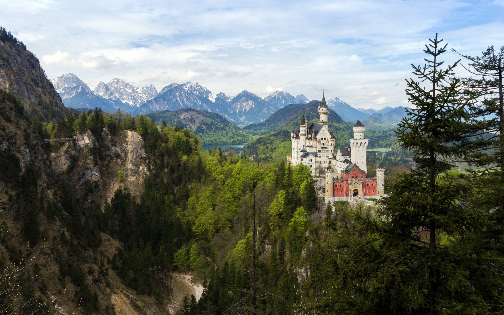 krajobraz drzewa las bawaria niemcy remont zamek neuschwanstein góry