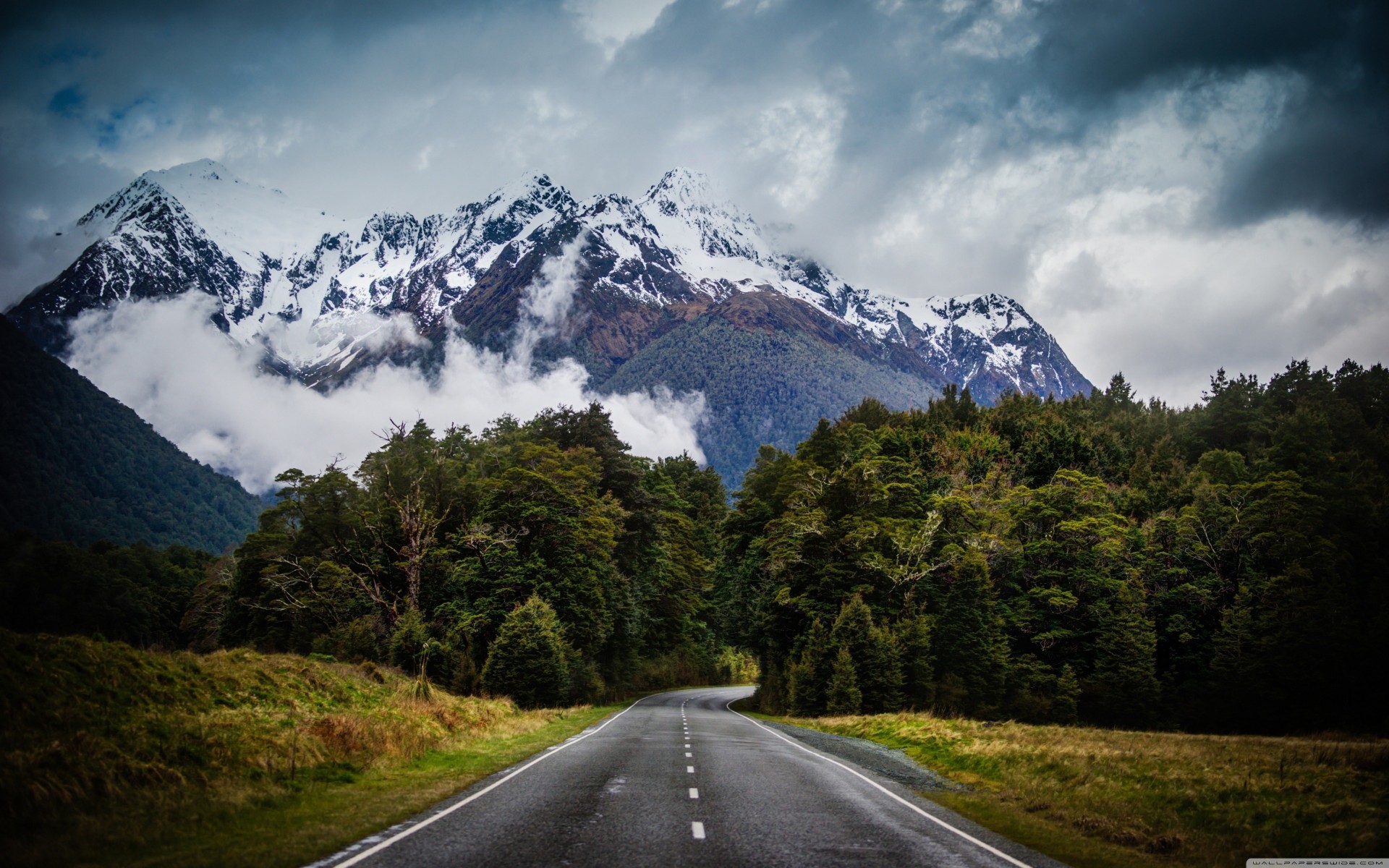 now road clouds palm forest mountain nature