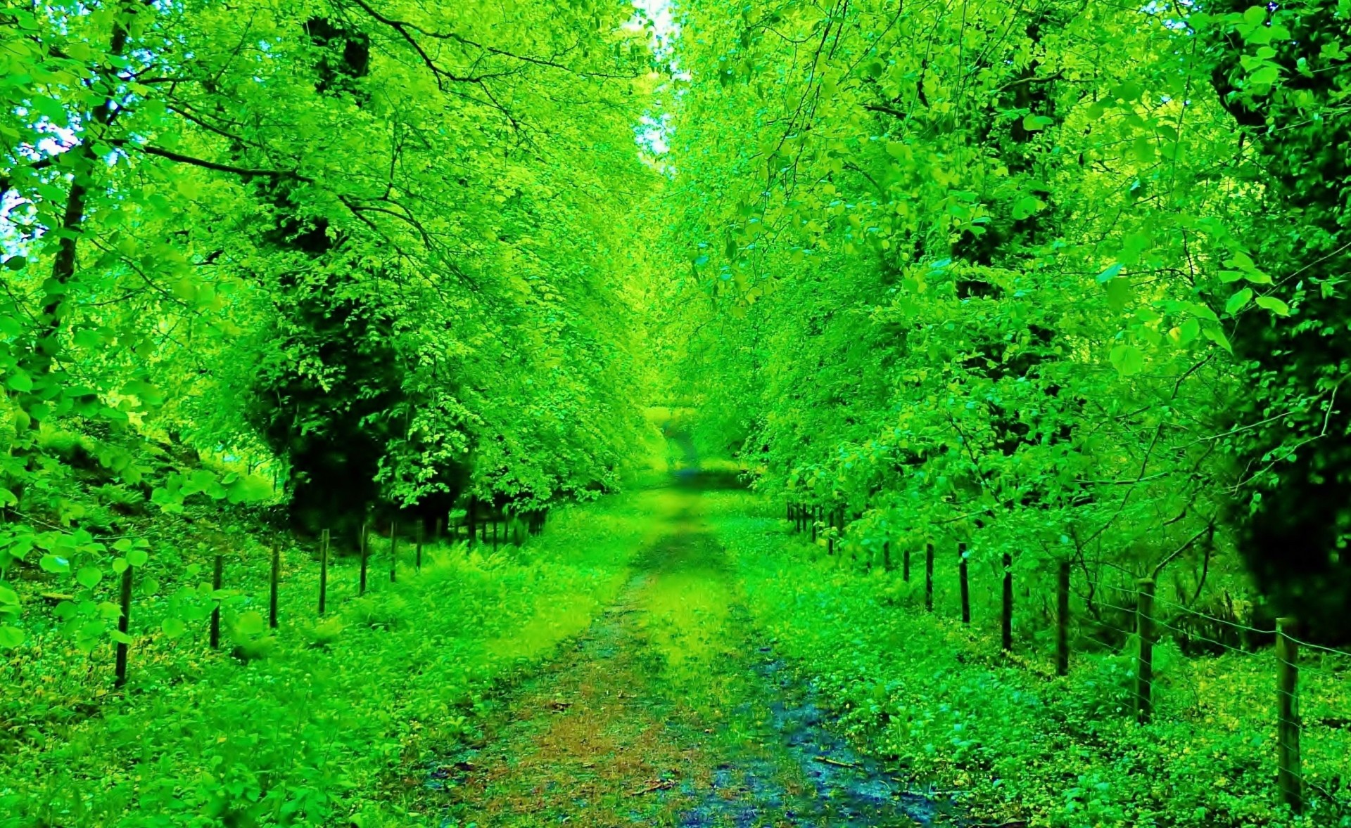 galloway forest road park scotland