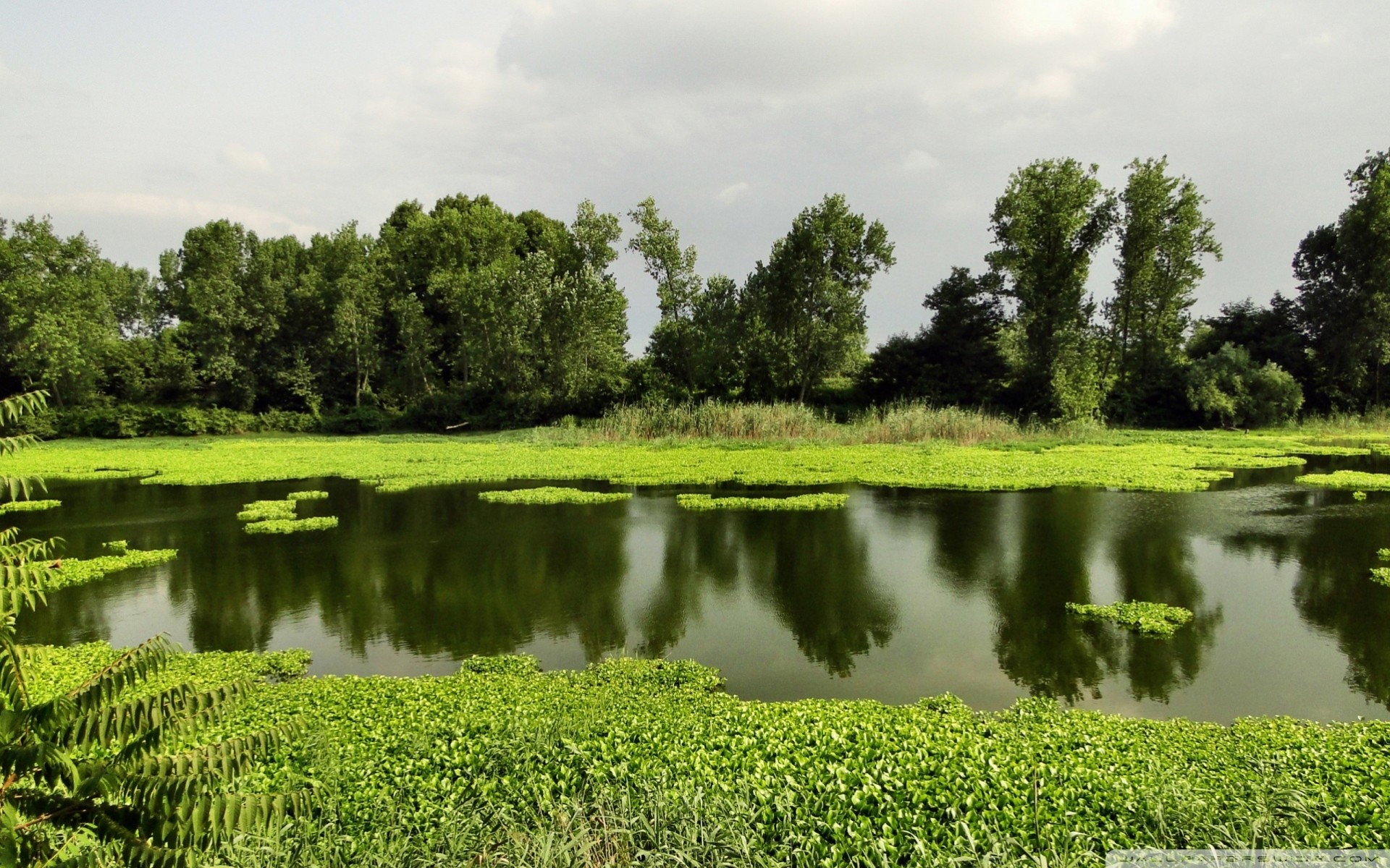 jezioro krajobraz lato natura