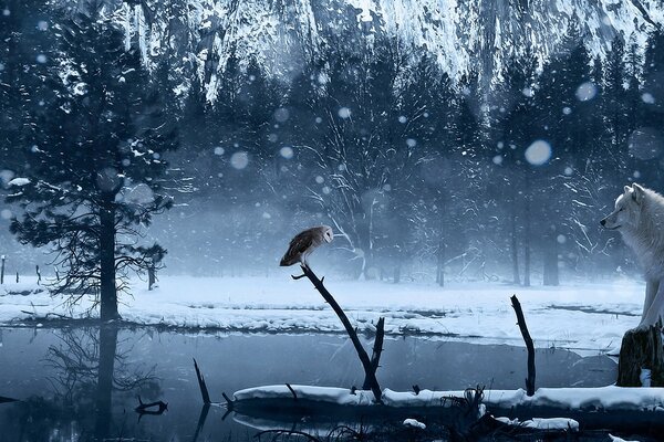 Wolf by the lake in the winter forest