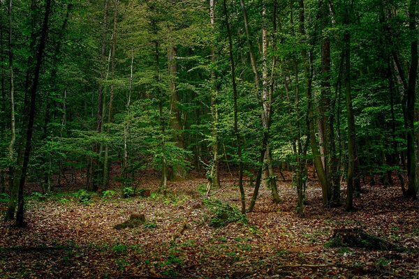 La nature est très belle à Boru