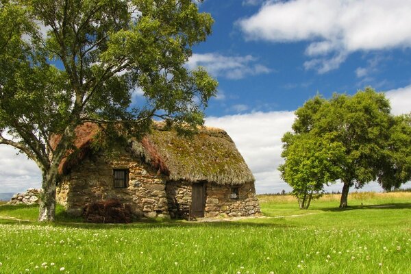 A hut in a field on a summer day