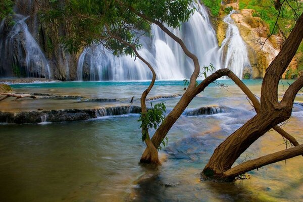 Schöner Wasserfall. See. Der Baum