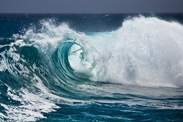 Toute la puissance et la beauté dans la vague de l océan