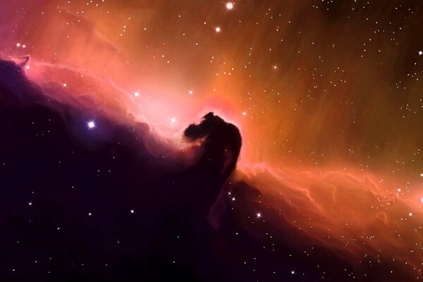 View of the horsehead nebula. View from space