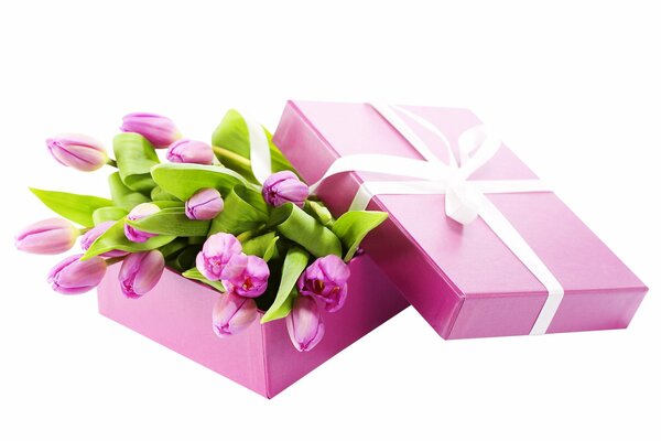 Pink box with tulips and white ribbon